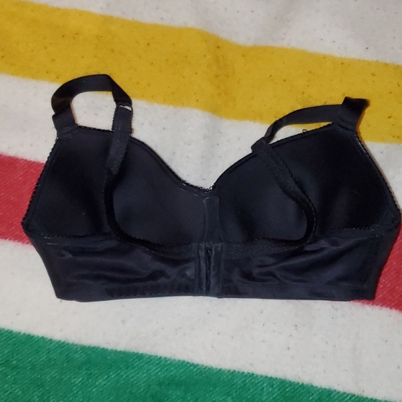 Volage 36DD Bra - Picture 2 of 5